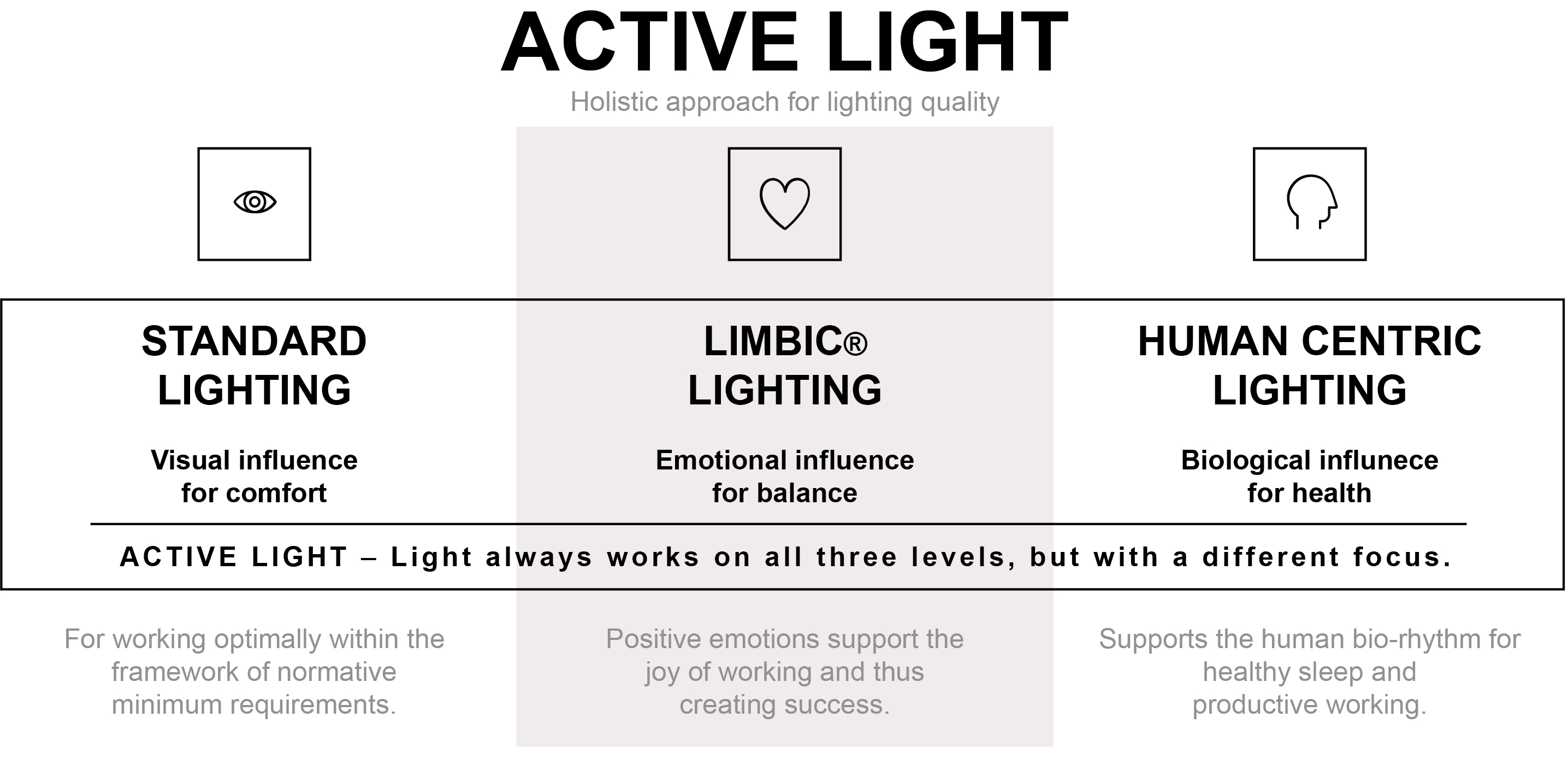 ACTIVE LIGHT